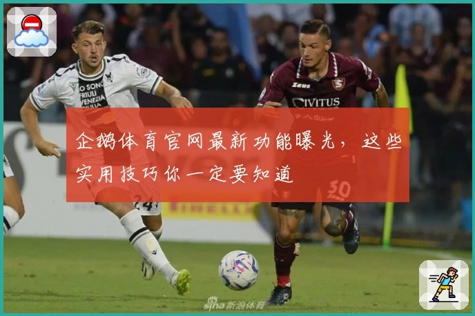 企鹅体育官网最新功能曝光，这些实用技巧你一定要知道