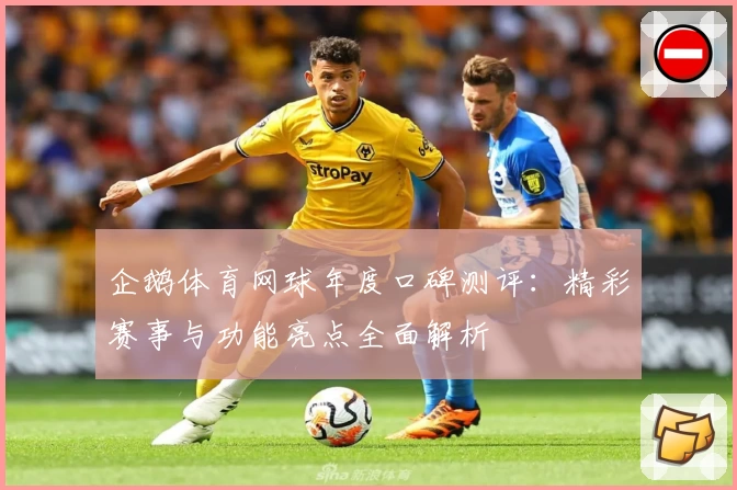 企鹅体育网球年度口碑测评：精彩赛事与功能亮点全面解析