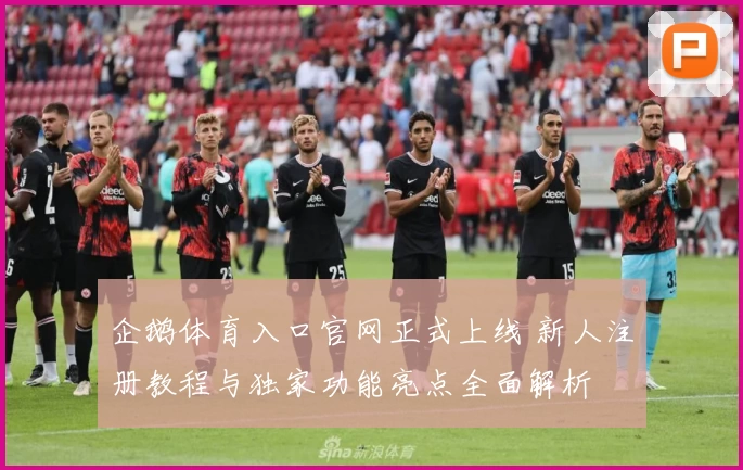 企鹅体育入口官网正式上线 新人注册教程与独家功能亮点全面解析