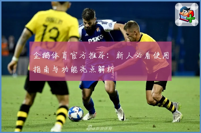 企鹅体育官方推荐：新人必看使用指南与功能亮点解析