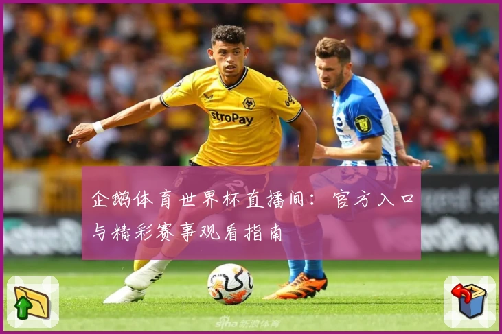 企鹅体育世界杯直播间：官方入口与精彩赛事观看指南