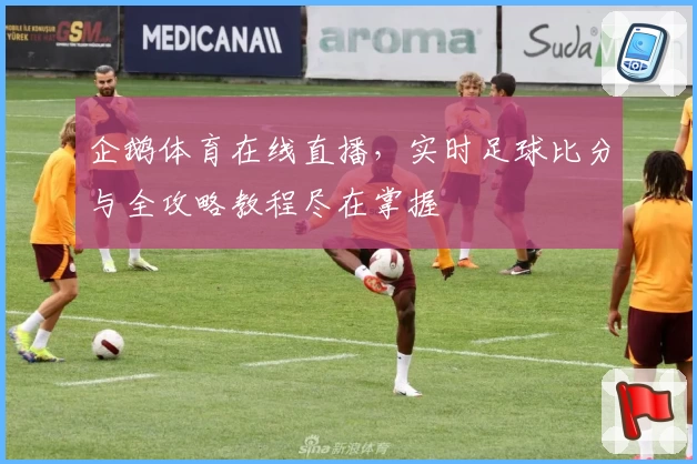 企鹅体育在线直播，实时足球比分与全攻略教程尽在掌握