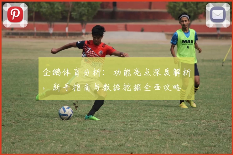 企鹅体育分析：功能亮点深度解析，新手指南与数据挖掘全面攻略