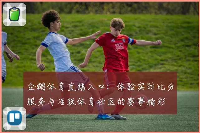 企鹅体育直播入口：体验实时比分服务与活跃体育社区的赛事精彩